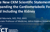 The New CKM Scientific Statement: Expanding the Cardiometabolic Focus and Including the Kidney