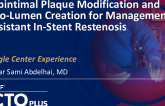 Subintimal Plaque Modification and Neo-Lumen Creation for Management of Resistant In-Stent Restenosis