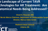 The Landscape of Current TAVR Technologies for AR Treatment: Are Anatomical Needs Being Addressed?