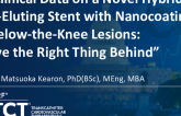 TCT 27: Pre-Clinical Data on a Novel Hybrid Drug-Eluting Stent With Nanocoating for Below-the-Knee Lesions: “Leave the Right Thing Behind”