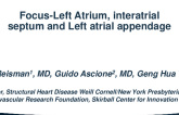 Overview of the Left Atrium with Focus on the Interatrial Septum and the Left Atrial Appendage
