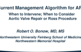 Current Management Algorithms for Aortic Regurgitation: When to Intervene and When to Consider Surgical Aortic Valve Repair vs the Ross Procedure
