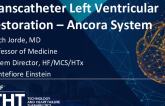 Transcatheter Left Ventricular Restoration: Ancora System