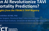 Prediction of In-Hospital Mortality Following TAVI Using the FRANCE-TAVI Registry: A Machine Learning Approach