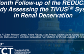 RDN Using the TIVUS Ultrasound Catheter: 3- and 6-Months Results of the REDUCED 1 Pilot Study