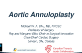 Aortic Annuloplasty Options