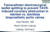 TCT 772: Transcatheter Electrosurgical Leaflet Splitting to Prevent TAVR-induced Coronary Obstruction in Stented vs. Stentless Bioprosthetic Aortic Valves: Results From the Multicenter EURO-BASILICA Registry