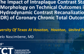 TCT 398: The Impact of Intraplaque Contrast Stain Morphology on Technical Outcomes in Hydrodynamic Contrast Recanalization of Coronary Chronic Total Outcomes