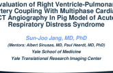 Evaluation of Right Ventricle-Pulmonary Artery Coupling with Multiphase Cardiac CT Angiography in a Pig Model of Acute Respiratory Distress Syndrome
