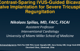 Contrast-Sparing IVUS-Guided Bicaval Valve Implantation for Severe Tricuspid Regurgitation