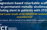 Magnesium-Based Resorbable Scaffold vs Permanent Metallic Sirolimus-Eluting Stent in Patients With ST-Segment Elevation Myocardial Infarction: Final 5-Year Results of the MAGSTEMI Randomized Controlled Trial
