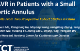 TCT 883: TAVR in Patients With a Small Aortic Annulus: Results From Two Prospective Cohort Studies in China