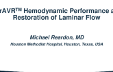 Hemodynamic Performance and Restoration of Laminar Flow