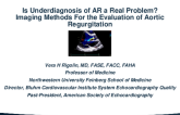 Is Underdiagnosis of AR a Real Problem? Imaging Methods for the Evaluation of Aortic Regurgitation