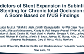 TCT 413: Predictors of Stent Expansion in Subintimal Stenting for Chronic Total Occlusion:  A Scoring System Based on IVUS Findings