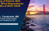 Imaging of Patients With Failed Mitral Bioprostheses: The ABCs of MVIV TMVR