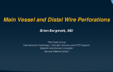 From Coils to Covered Stents: Managing Main Vessel and Distal Wire Perforations