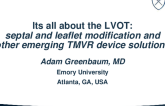 It's All About the LVOT: Septal and Leaflet Modification; Other Emerging TMVR Device Solutions