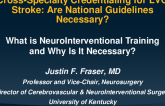 Cross-Specialty Credentialing for LVO Stroke: Are National Guidelines Necessary?