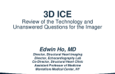 3D Intracardiac Echocardiography for SHD Interventions: Review of Technology and Unanswered Questions for the Imager
