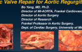 Surgical Updates: Surgical Aortic Valve Repair for AR