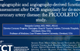 TCT 712: Angiographic and Angiography-Derived Functional Assessment After DCB Angioplasty for De-Novo Coronary Artery Disease: The PICCOLETO VI Study Final Results