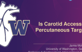 Is Carotid Access a Percutaneous Target?