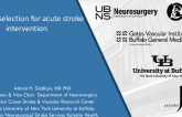Imaging Selection for Acute Stroke Treatment (With an Overview of Angiographic Views)
