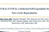 First TAVR-in-TAVR for a Dedicated Self-Expandable Device for Pure Aortic Regurgitation