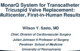 MonarQ System for Transcatheter Tricuspid Valve Replacement: Multicenter, First-in-Human Results