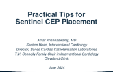 Practical Tips for Cerebral Embolic Protection: From Clinical Trials to Clinical Practice