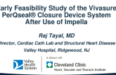 Early Feasibility Study of the Vivasure PerQseal® Closure Device System After Use of the Impella Device for Cardiogenic Shock or Protected Percutaneous Coronary Intervention