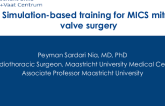 Simulators for Minimal Invasive MV Surgery