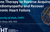 Gene Therapy to Reverse Acquired Cardiomyopathy and Recover Chronic Heart Failure