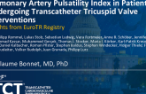 Pulmonary Artery Pulsatility Index in Patients Undergoing Transcatheter Tricuspid Valve Interventions