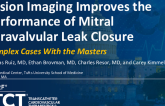 TCT 1239: Fusion Imaging Improves the Performance of Mitral Paravalvular Leak Closure
