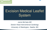 Excision Medical Leaflet System