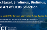Paclitaxel, Sirolimus, Biolimus: The Art of DCBs Selection