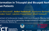 TCT 953: Post-Implant Transcatheter Aortic Prosthesis Deformation: Tricuspid Versus Bicuspid Valve