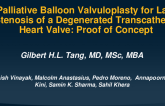 Palliative Balloon Valvuloplasty for Late Stenosis of a Degenerated Transcatheter Heart Valve: A Proof of Concept