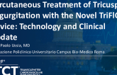 Percutaneous Treatment of Tricuspid Regurgitation with the Novel TriFlO® Device: Technology and Clinical Update