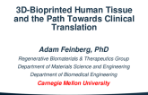 3D-Bioprinted Human Tissue and the Path Towards Clinical Translation