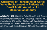 Long-Term Clinical Outcomes of “SMART-Like” Patients With Small Aortic Annuli