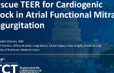 TCT 1432: Rescue TEER for Cardiogenic Shock in Atrial Functional Mitral Regurgitation