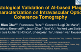 TCT 266: Histological Validation of AI-based Plaque Characterization on Intravascular Optical Coherence Tomography