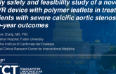 TCT 154: Early Safety and Feasibility Study of a Novel TAVR Device With Polymer Leaflets in Treating Patients With Severe Calcific Aortic Stenosis: Sekilia Valve
