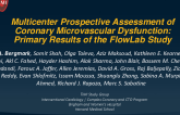 Multicenter Prospective Assessment of Coronary Microvascular Dysfunction: Primary Results of the FlowLab Study