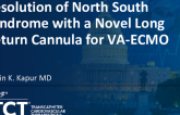 TCT 458: Use of a Long Femoral Return Cannula Positioned in the Thoracic Aorta With VA-ECMO Resolves Differential Hypoxemia in a Preclinical Model of North South Syndrome