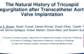The Natural History of Tricuspid Regurgitation after Transcatheter Aortic Valve Implantation