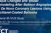 TCT 451: Plaque Changes and Vessel Remodeling After Balloon Angioplasty for De Novo Coronary Lesions Using Paclitaxel-Coated Balloons: A Serial IB-IVUS Study